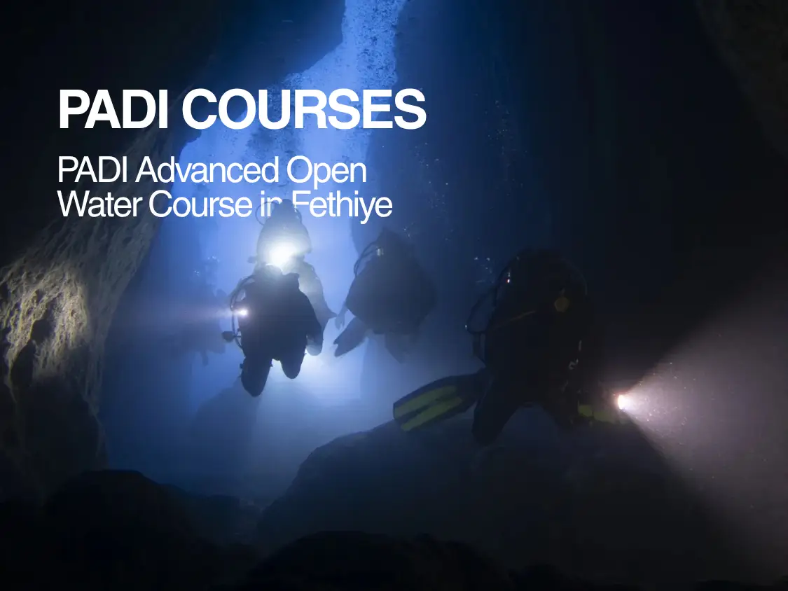Courses Photos